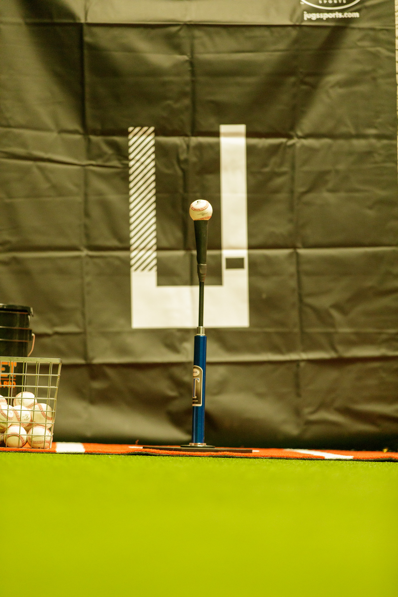 Mezzanine viewing area overlooking the cages